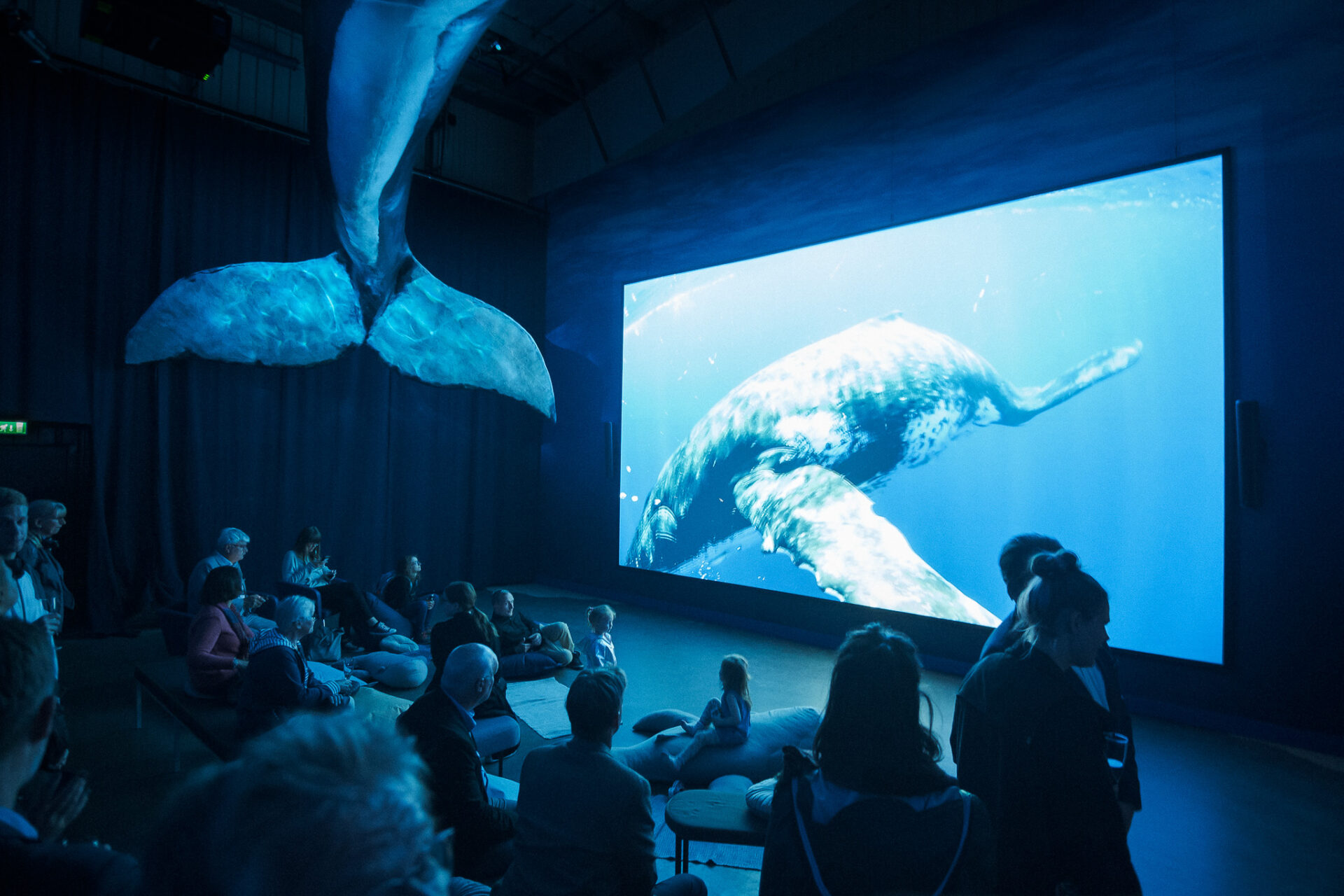 Visitors exploring interactive displays inside the Whales of Iceland museum.