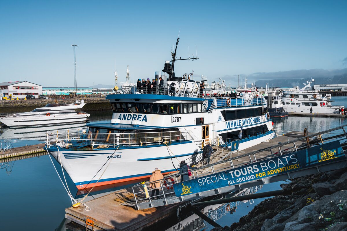Tourists boarding the whale watching boat named Andrea at the harbor.