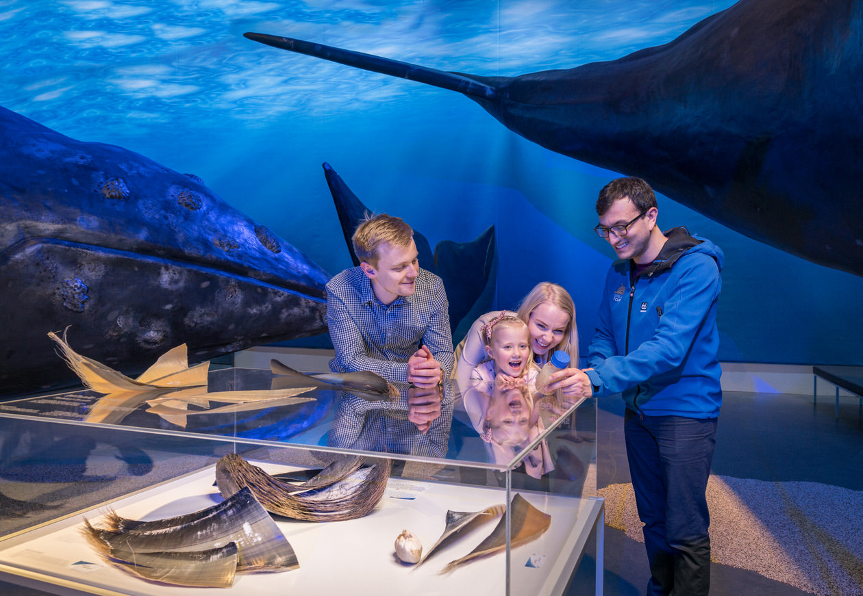 A large whale model suspended above visitors in the museum exhibition space.