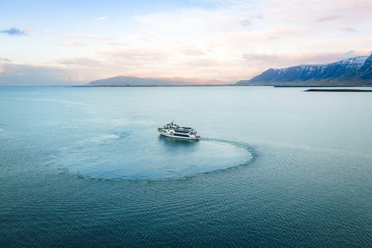 A whale watching boat on the water.