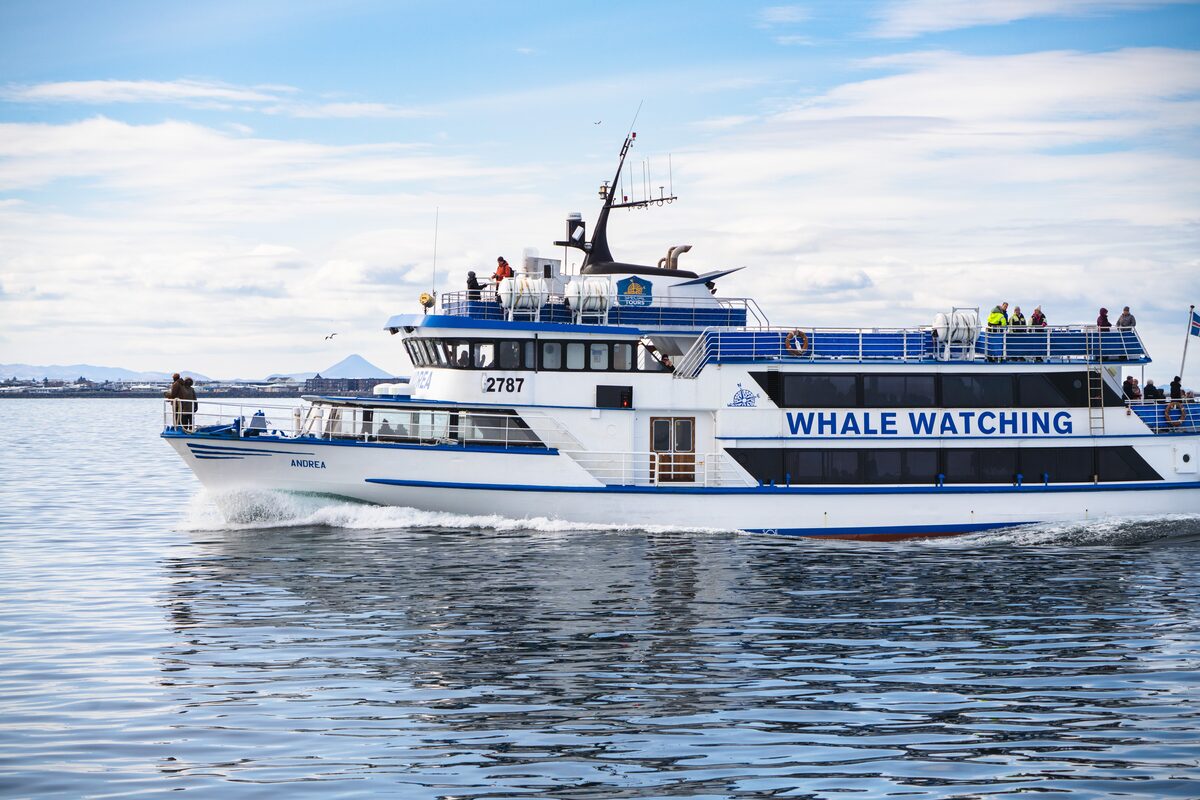 Whale watching boat cruising on the water.
