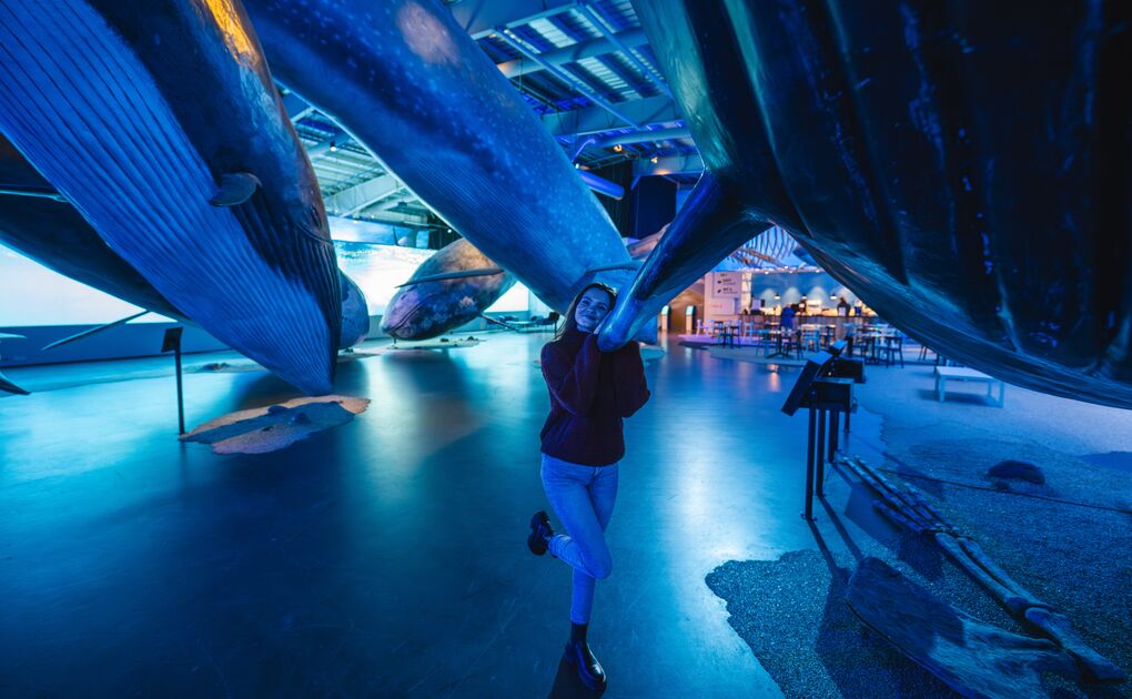 A woman posing among large whale exhibits in a museum.