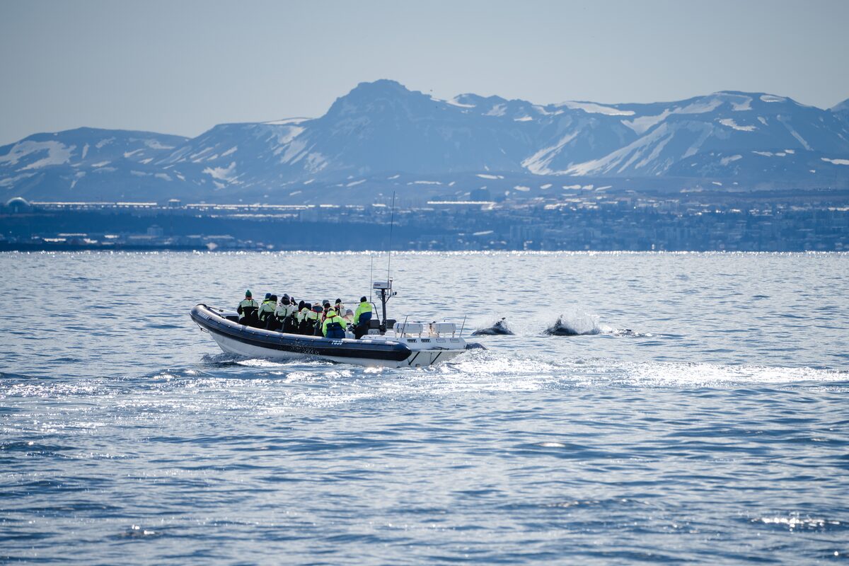 A whale-watching tour boat on the water.