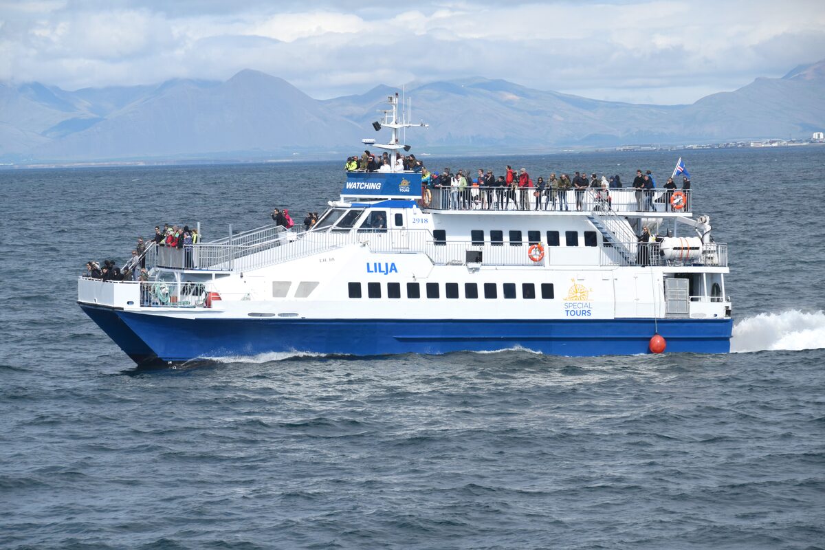 A white and blue whale-watching catamaran named "Lilja" cruises in open waters with mountains in the background.