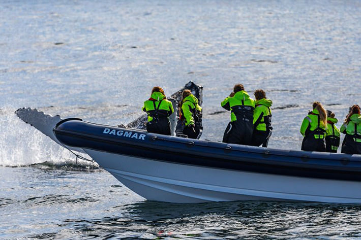 A whale tail breaks water near a boat named DAGMAR carrying tourists.