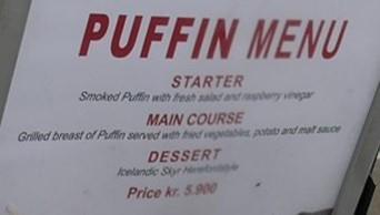 Restaurant menu featuring puffin dishes in Iceland.