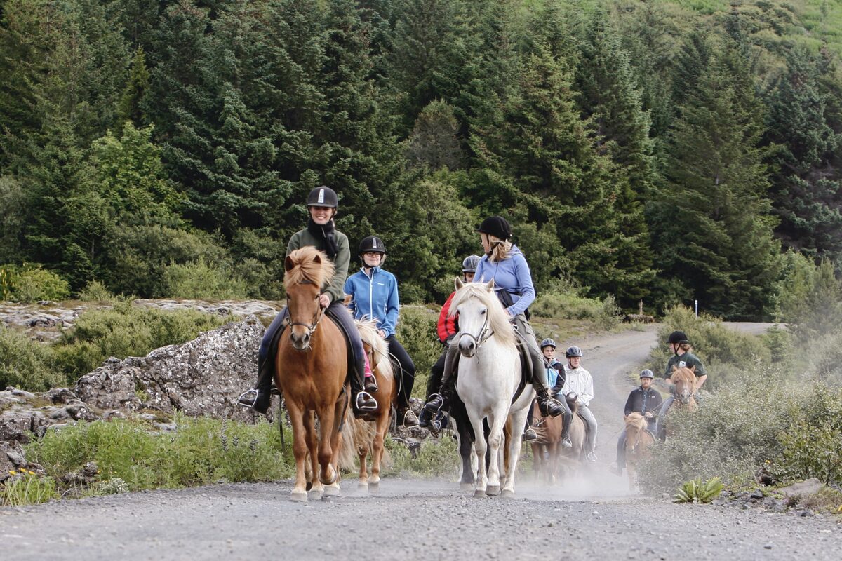 A group of people horseback riding on a trail.